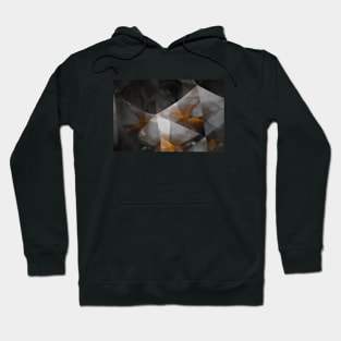 Kaleidoscope Therapy Follow the Light Hoodie